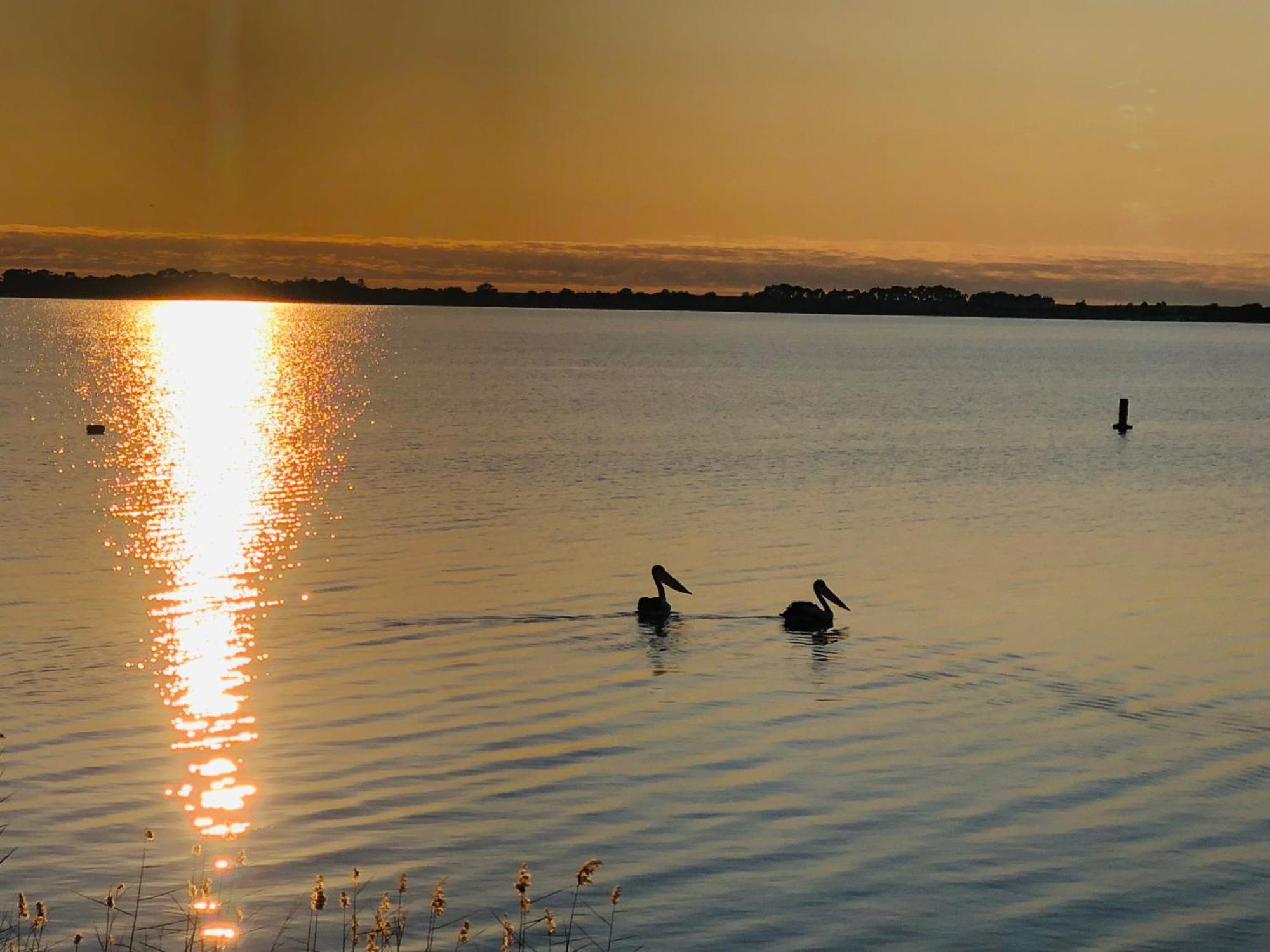 Lake Boga Caravan Park Eksteriør billede