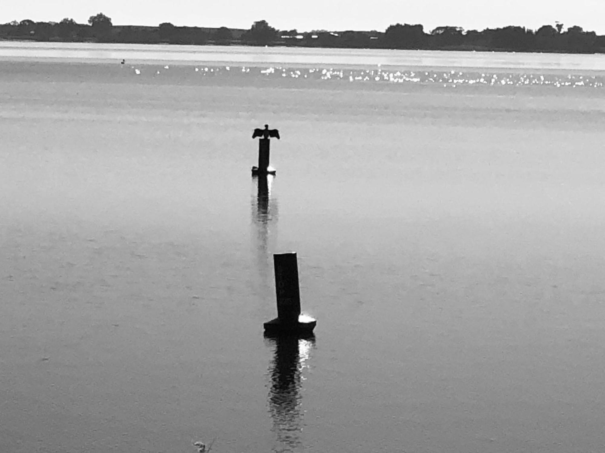 Lake Boga Caravan Park Eksteriør billede